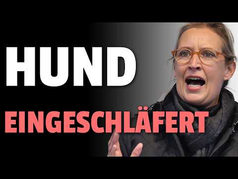 💥Amt schläfert Hund ein während Besitzer im Krankenhaus liegt!