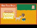 Petit Ours Brun 3D - Compilation spéciale Animaux