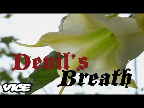 Devil's Breath - Trailer