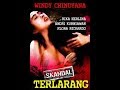 Skandal Terlarang Film Jadul Indonesia Tahun Produksi 1995