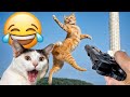 The FUNNIEST Dogs and Cats Shorts Ever 😻🐶 You Laugh You Lose 😍