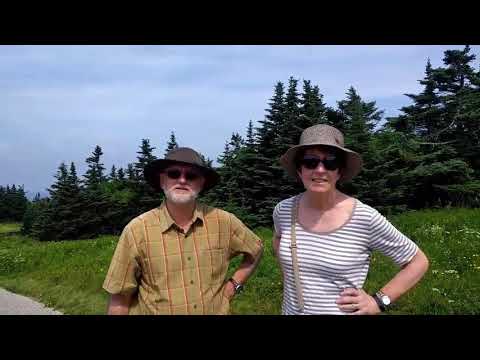 20180701 Cheshire Massachusetts to Stealth Campsite near Spring north of Stream