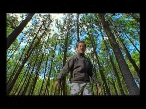 Diego Torres - Color esperanza