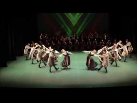 VU Ansamblis - Artojų sudaužtinis 2015 02 16