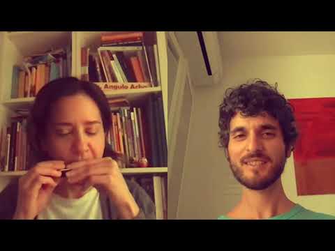 Private Harmonica Lessons: Skype, Hang Out or Zoom (Diatonic and Chromatic)