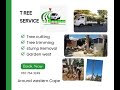 Tree Cutting Down Trimming And Stumps Removel Around Western Cape