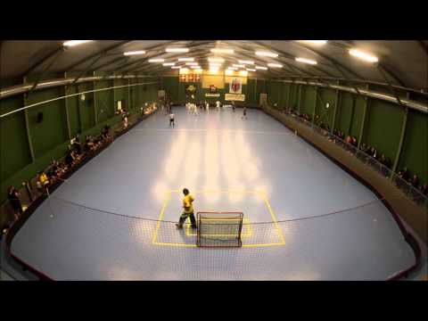 ASM: Westend Indians-TPS 14.11.2015