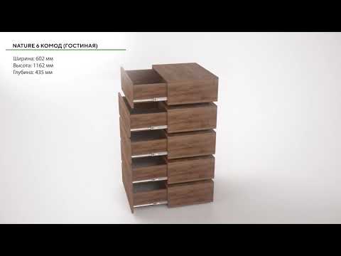 Распашной шкаф NATURE 555 в Вологде - видео 3