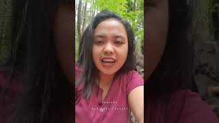 Download lagu enjoy the natural atmosphere mp3