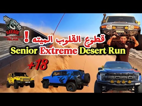 Senior Level Desert Drive | Extreme Dunes of Sweihan 🇦🇪 | 13-Minute Off-Road Action