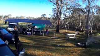 Wakey wakey!! / Spiderbait - Buy Me a Pony