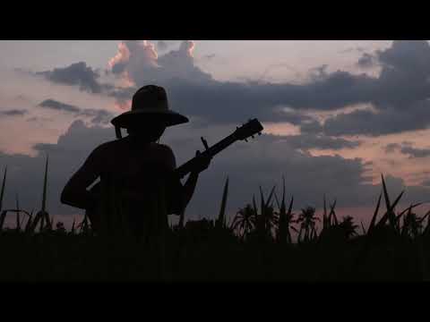 251 - สุขอรุณ (live session)