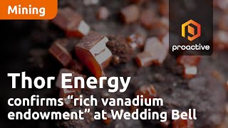 thor-energy-confirms-rich-vanadium-endowment-at-wedding-bell-radium-mountain-uranium-plays