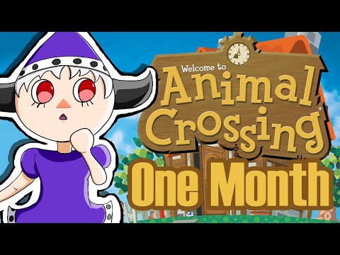 What Happens During One Month of Animal Crossing for Gamecube