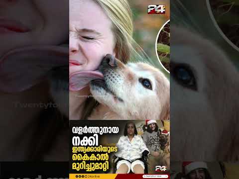 നായ നക്കിയത് മുറിവിൽ, സെപ്സിസ് ബാധിച്ച് അവയവങ്ങൾ നഷ്ട്ടപ്പെട്ട് സ്ത്രീ Dog Lick Dangerous