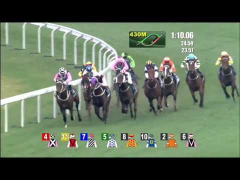 2016 Stewards’ Cup (International Group 1)