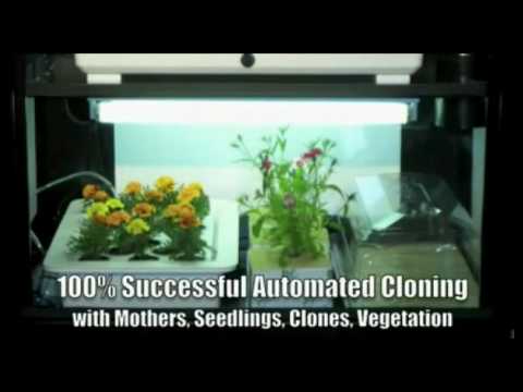 Side by Side | Commercial Hydroponic Systems