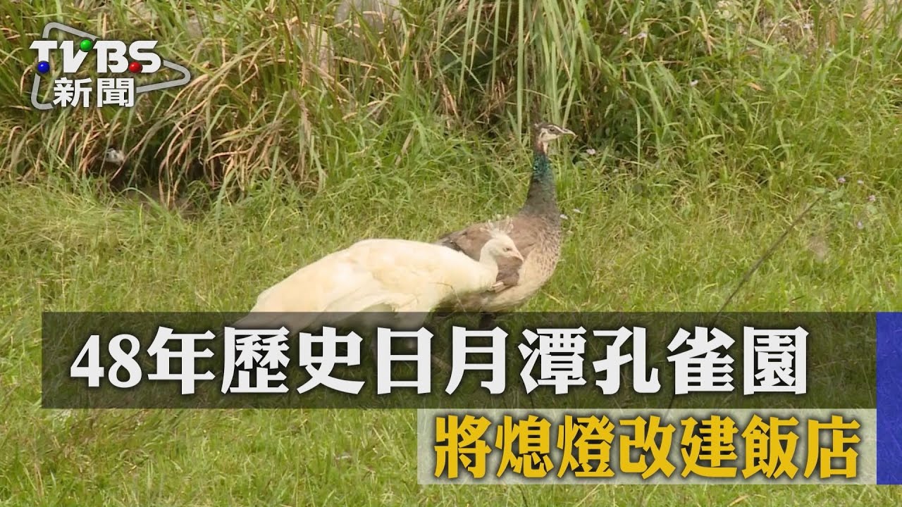 48年歷史日月潭孔雀園 將熄燈改建飯店