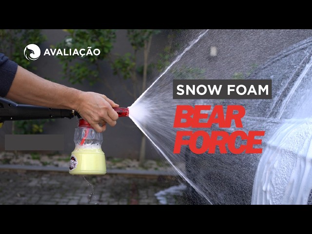 Imagem do vídeo da avaliação Bear Force