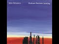 05 Edie Brickell - Another Woman's Dream