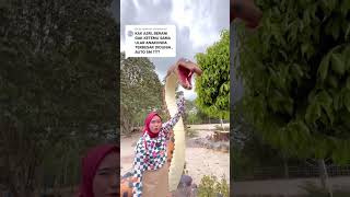 Download lagu Uproar, the biggest anaconda snake in the world ???? mp3