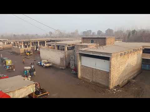 Inside Peshawar’s Ring Road Slaughterhouse | Butchery| Exclusive Documentary 2024 | RRSP280124
