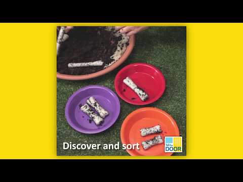 Slide 4 - Dinosaur Bones, 16 Pieces (video)