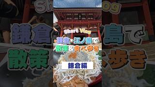 【Vlog】鎌倉・江ノ島で散策&食べ歩きしてみた！【鎌倉編】#vlog #鎌倉 #shorts