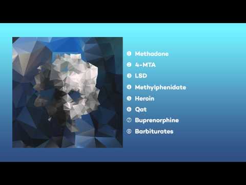 Saito & o k h o - Panacèa