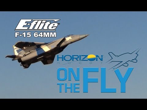 On The Fly: E-flite F-15