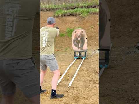How fast can you kill a bear with a gun?? #hunting
