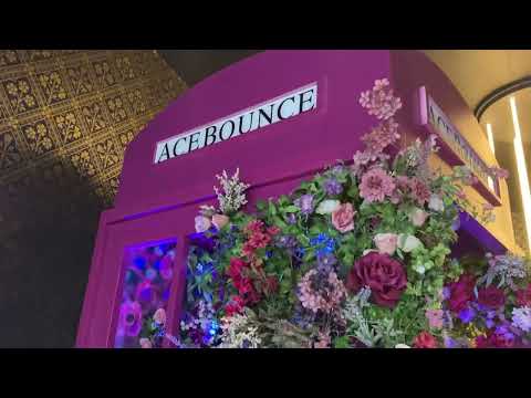 What is a Ping Pong Bar? - Ace Bounce -Downtown Chicago