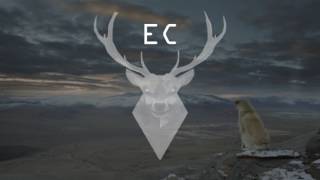 WDL - Stardust (Elliphant)