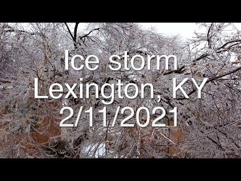 Skydio 2 Ice storm Lexington, KY 2/11/2021