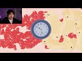 Markiplier Life Simulator Song