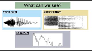 Speech Acoustics 3 - what we can see