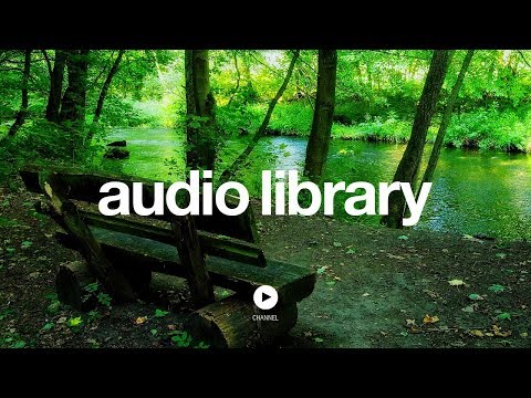 The Creek – Topher Mohr and Alex Elena (No Copyright Music) Video