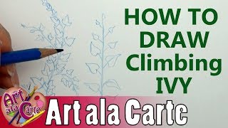 How to draw Climbing IVY