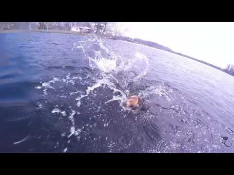 Lg Mouth T-Bones Bomber Crank