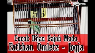 Download lagu SUARA BURUNG - Tampil Perdana, Cucak Hijau Gajah Mada Langsung Juara mp3 Download lagu SUARA BURUNG - Tampil Perdana, Cucak Hijau Gajah Mada Langsung Juara mp3
