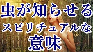 ゴキブリ 英語 発音 موقع ويب حيث يمكنك مشاهدة مقاطع فيديو موسيقية مجانية ゴキブリ 英語 発音 موقع ويب حيث يمكنك مشاهدة مقاطع فيديو موسيقية مجانية