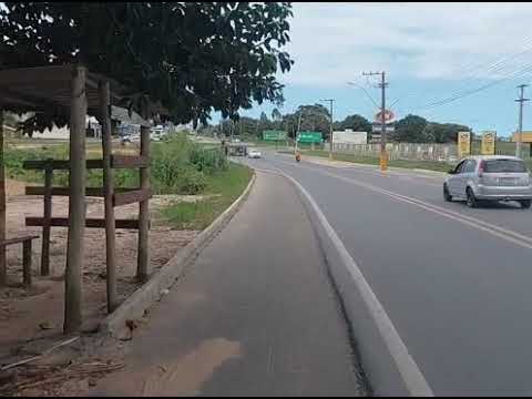EU E MEU PAI NA ROÇA DO ABACAXI EM MARATAIZES ESPÍRITO SANTO 