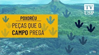 Miniatura do vídeo