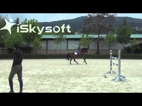 Caio Carvalho - C Dallas L Z 5YO by Coltaire Z x Rox de la Touche