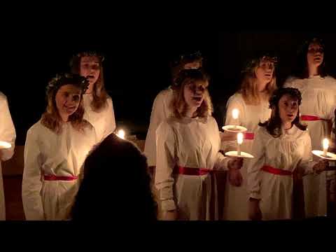 Lucia, 2019 At Work I Unforgettable Tunes I Biomedicinskt Centrum, Uppsala University #lucia