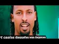 Art Caalaa Daggafaa Waa Daggannee 2026
