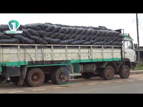 Savannah Minister Orders MMDAs to Enact By-Laws Against Commercial Charcoal Production