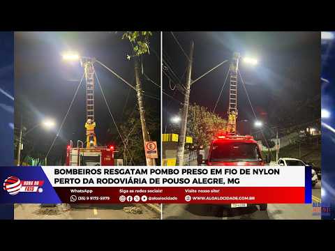 Bombeiros resgatam pombo preso em fio de nylon perto da rodoviária de Pouso Alegre, MG