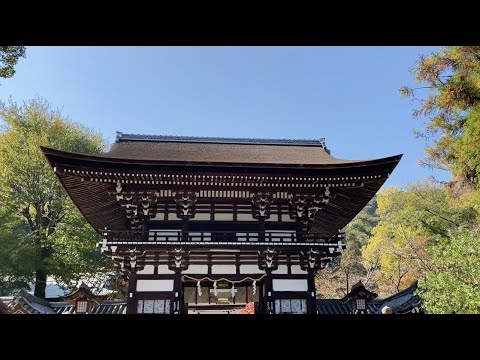 Cenário do Santuário Matsuo