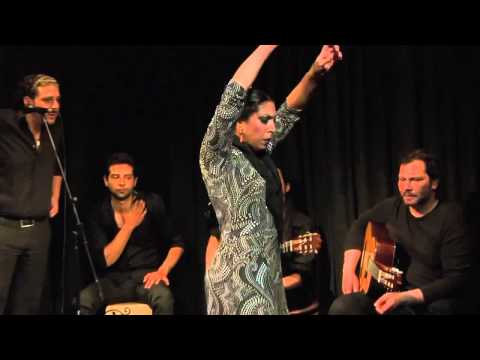 CASA PATAS EN VIVO 127   FUENSANTA LA MONETA